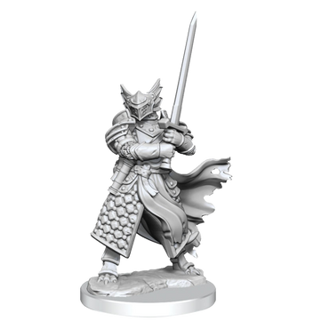 Wizkids - D&D - Frameworks - Male Dragonborn Paladin