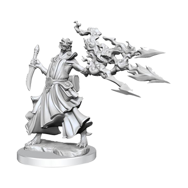 Wizkids - D&D - Frameworks - Male Dragonborn Sorcerer